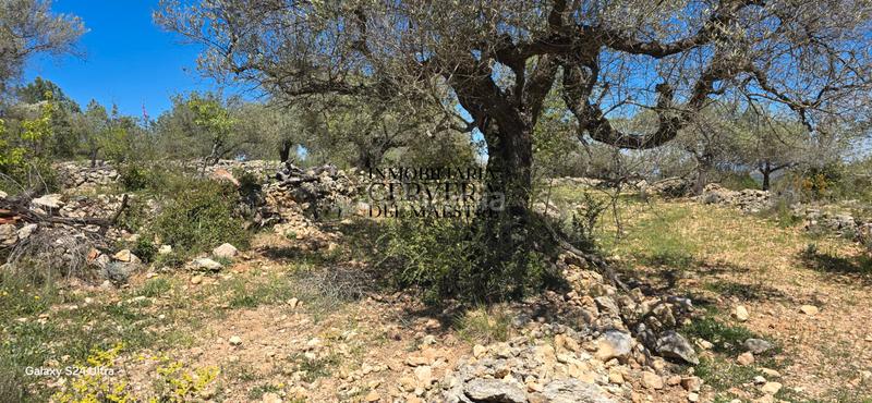 Foto afdd290e-43eb-4ed4-9a75-fc409b026b5c. Casale in Cervera del Maestre