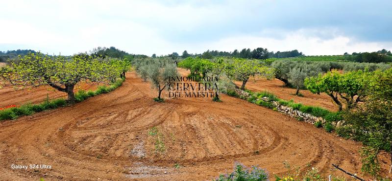 Foto 31722e36-75b2-4ae4-83df-767b981e075d. Mas avec piscine dans Useres (les)