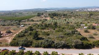 Finca rústica a Cálig. Terreno de 7130m2 con buen acceso y vistas al mar ubicado en cal