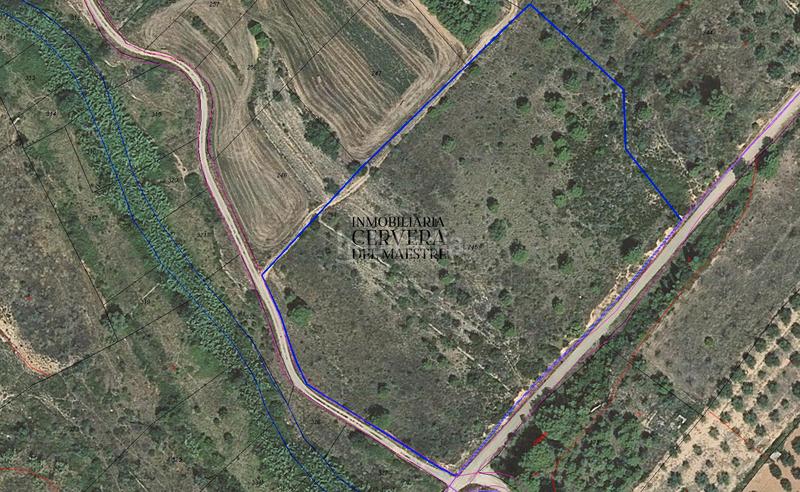 Foto 29ffaa47-70a0-415e-9674-609fad0d5c54. Rural plot in Sant Mateu