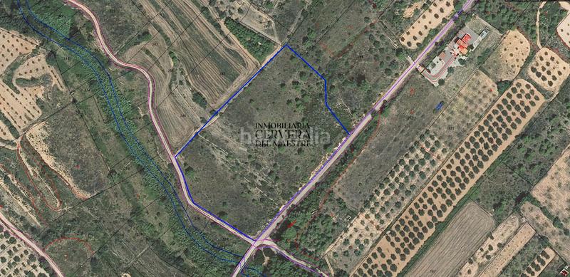 Foto 6fc29936-d7ac-4d6f-9af9-63cbea2f15fb. Rural plot in Sant Mateu