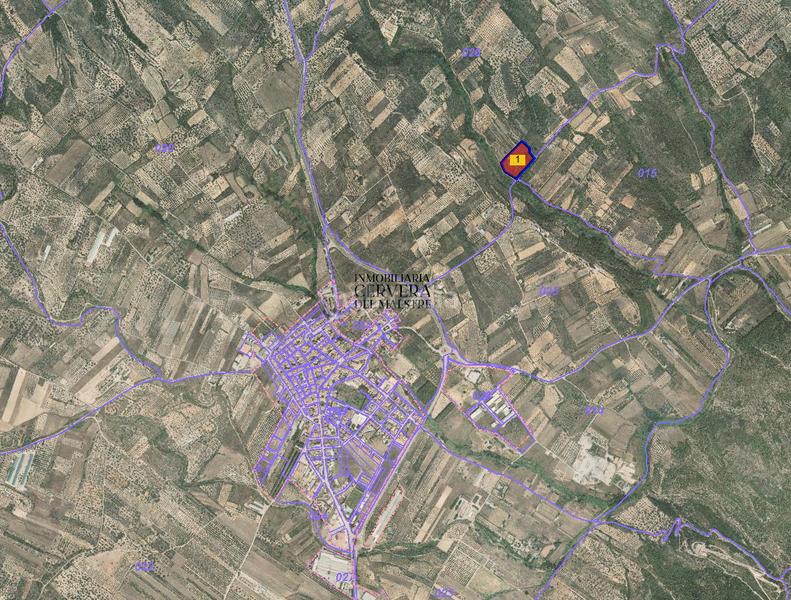 Foto 81d4cecf-6e6e-4169-b925-4606c28f8a8b. Rural plot in Sant Mateu