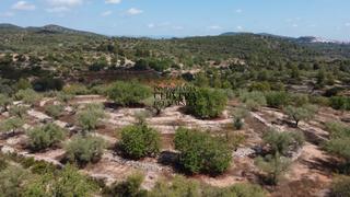 Finca rústica a Cervera del Maestre. Terreno de 8428m2 con buen acceso, casetta para reformar, pozo y