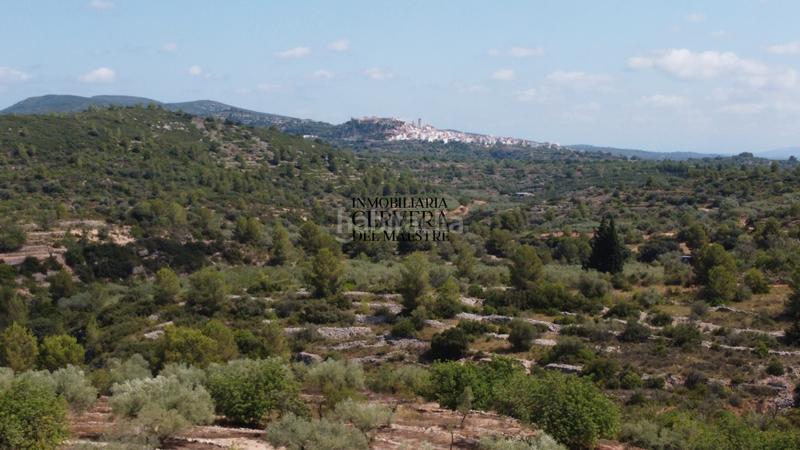 Foto 01a31acc-42ce-4609-a886-f0d01a744a3a. Fondo rustico in Cervera del Maestre