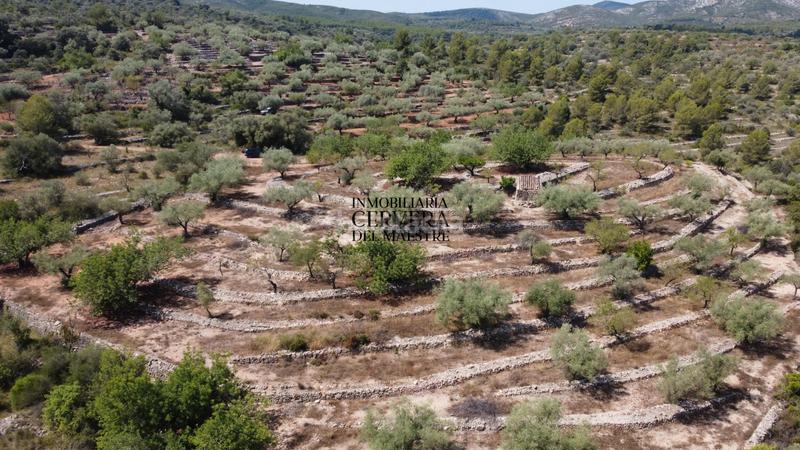 Foto 6dff8ee6-9fcd-4eb2-bd02-581c52633184. Fondo rustico in Cervera del Maestre