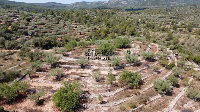 Foto 7183ec4e-3025-4aae-8529-205bf87c475a. Fondo rustico in Cervera del Maestre