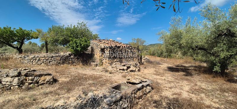 Foto 75f37fb8-9b43-4d20-a401-f236d1444c35. Fondo rustico in Cervera del Maestre
