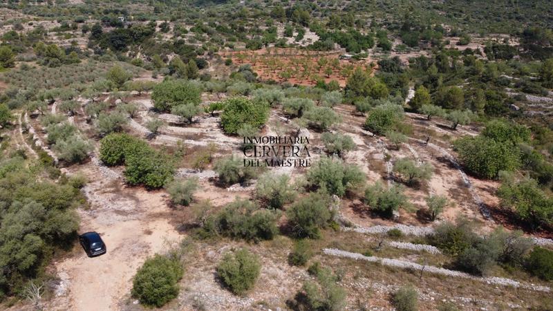 Foto 9bb7ec78-1076-4334-9c8e-9cc8d02c7875. Fondo rustico in Cervera del Maestre