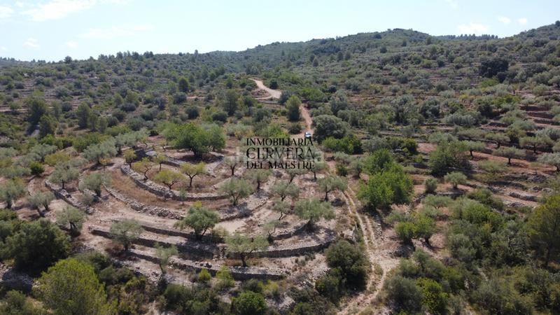 Foto edfe419a-7606-44db-b9f7-d944ae54ae39. Fondo rustico in Cervera del Maestre