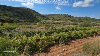 Finca rústica a Cervera del Maestre. Finca vallada de 4360 m² con buen acceso y vistas a las montañas