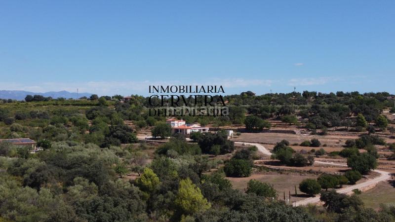 Foto 11aa2052-62b4-4229-bbb0-1dbbd2dd5855. Fondo rustico in Cervera del Maestre