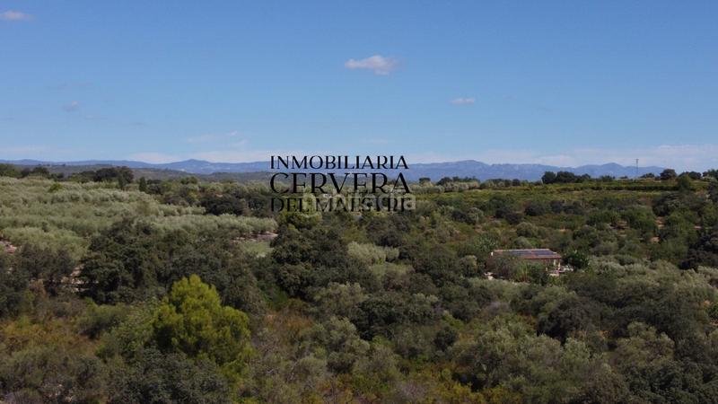 Foto 37fb9f39-0717-495f-9209-da51e07abc03. Fondo rustico in Cervera del Maestre