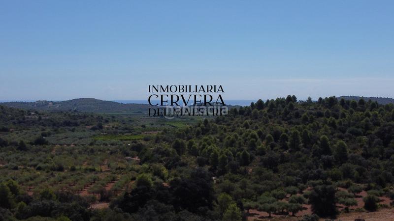 Foto 5cc5d82f-0d02-4a63-8400-631290dfae2b. Fondo rustico in Cervera del Maestre