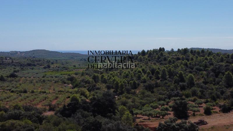 Foto b75fa5c0-74e7-4b2d-94f9-5bb6e0bb6f73. Fondo rustico in Cervera del Maestre