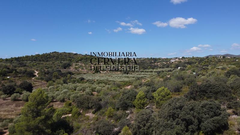 Foto dbba5e94-c892-46c5-8c30-ca81a7615814. Fondo rustico in Cervera del Maestre