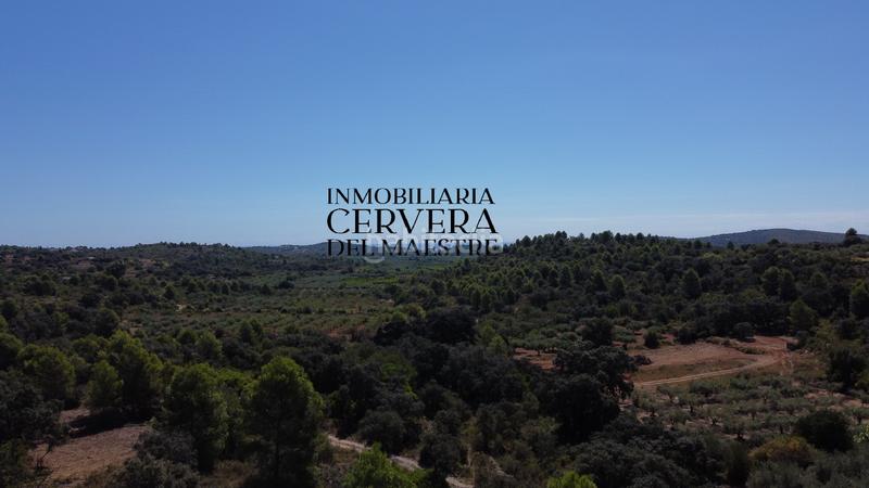 Foto eba21ecb-27f8-4a29-8bc9-39d3909434fa. Fondo rustico in Cervera del Maestre