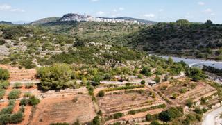 Rural plot in Cervera del Maestre. Finca vallada de 4360 m² con buen acceso y vistas a las montañas
