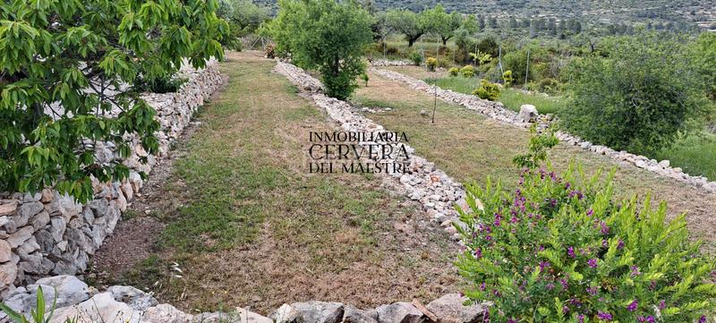 Foto 2a58e963-be88-47b7-98bd-7f0d08726bb4. Chalet  independiente con piscina en ubicación privilegiada con espectaculares vistas al mar en Cervera del Maestre
