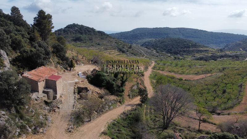 Foto 46c682d9-a4f2-49c6-a7f4-6e5db58c936c. Masia a Sierra Engarcerán