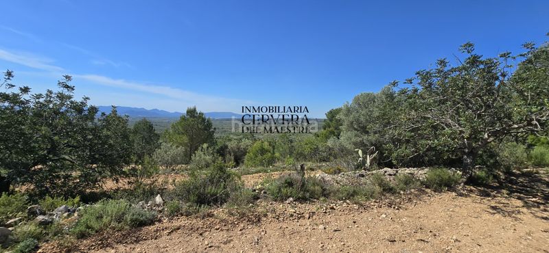 Foto 17e1ebb7-7dbc-4128-8889-5017903ca3bd. Masia a Sierra Engarcerán