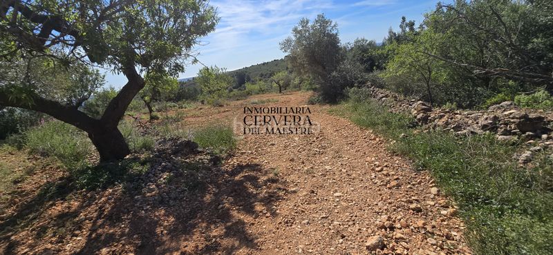 Foto 46c5e728-ca02-456d-9847-4335d62b5dba. Masia a Sierra Engarcerán
