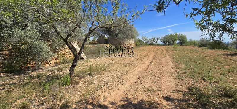 Foto abc813c6-5a79-4ede-a1d3-dc2d3663c8fd. Masia a Sierra Engarcerán