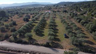 Landgut in Pueblo. Finca rustica para edificar ubicada a 7kms desde el centro benic