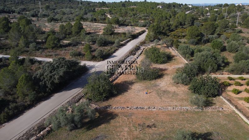 Foto 168c38a7-4eee-4628-b8d3-e804398bc2e3. Finca rústica finca rustica para edificar ubicada a 7kms desde el centro benicarlo y la playa en Benicarló