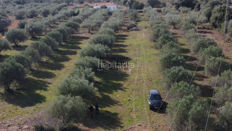 Foto 37b3b5a2-0f4f-43b9-a076-c71398834b5e. Finca rústica finca rustica para edificar ubicada a 7kms desde el centro benicarlo y la playa en Benicarló