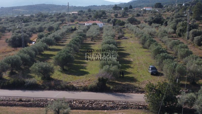 Foto 69fdd0db-daf1-44a6-8d57-51992b8bed2a. Finca rústica finca rustica para edificar ubicada a 7kms desde el centro benicarlo y la playa en Benicarló