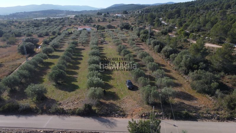 Foto a6365e54-2738-4d9d-b5ab-67cc3952a2ed. Finca rústica finca rustica para edificar ubicada a 7kms desde el centro benicarlo y la playa en Benicarló