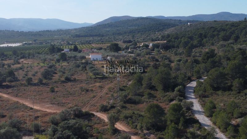 Foto a8dfadc2-3cd3-43c5-803f-7846b2b69262. Finca rústica finca rustica para edificar ubicada a 7kms desde el centro benicarlo y la playa en Benicarló