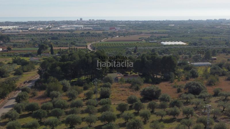 Foto b302d962-4f25-4a60-b20d-415f8924e27c. Finca rústica finca rustica para edificar ubicada a 7kms desde el centro benicarlo y la playa en Benicarló