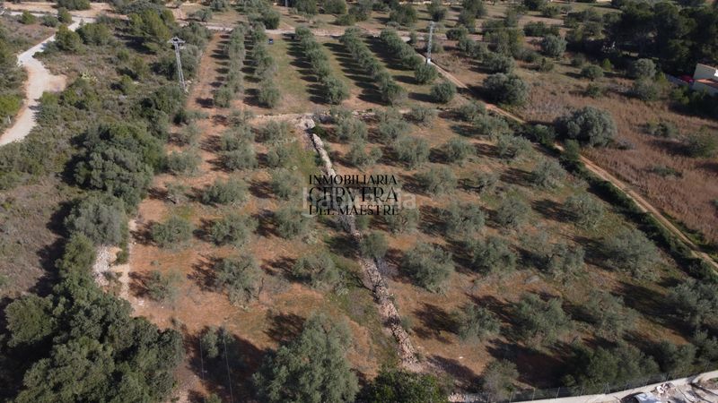 Foto bdc8ac73-c451-427f-b70e-e06046327332. Finca rústica finca rustica para edificar ubicada a 7kms desde el centro benicarlo y la playa en Benicarló