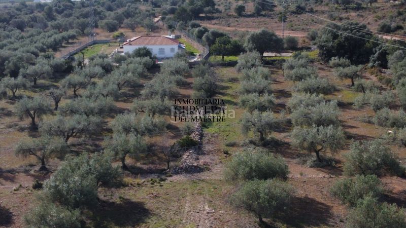 Foto c0054edb-ec57-4c70-a7a1-dfef24d4964e. Finca rústica finca rustica para edificar ubicada a 7kms desde el centro benicarlo y la playa en Benicarló