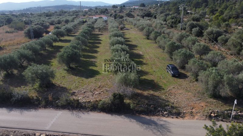 Foto cfd6c832-19cf-4d30-b35e-48e341c84ad6. Finca rústica finca rustica para edificar ubicada a 7kms desde el centro benicarlo y la playa en Benicarló