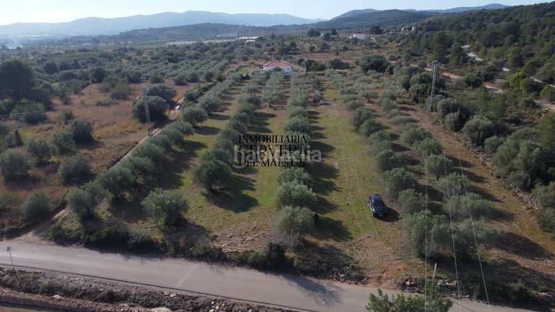 Foto e1ea769c-e067-4d76-81d8-d0d6ff8a41fd. Finca rústica finca rustica para edificar ubicada a 7kms desde el centro benicarlo y la playa en Benicarló