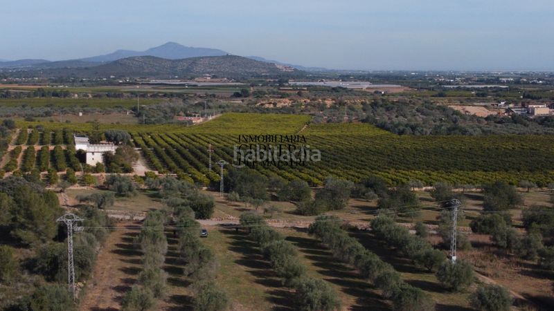 Foto e817adb4-63d1-4439-92a9-badee01acbee. Finca rústica finca rustica para edificar ubicada a 7kms desde el centro benicarlo y la playa en Benicarló