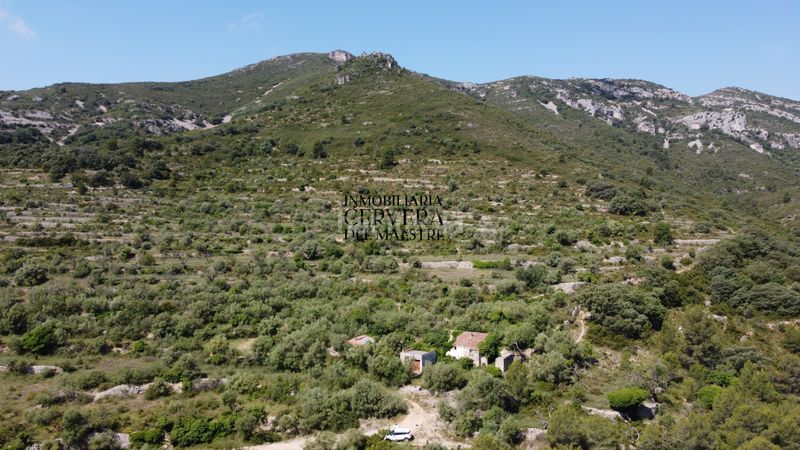 Foto 4b082801-17fe-482f-b9e2-f6f24be09579. Masia a Rossell