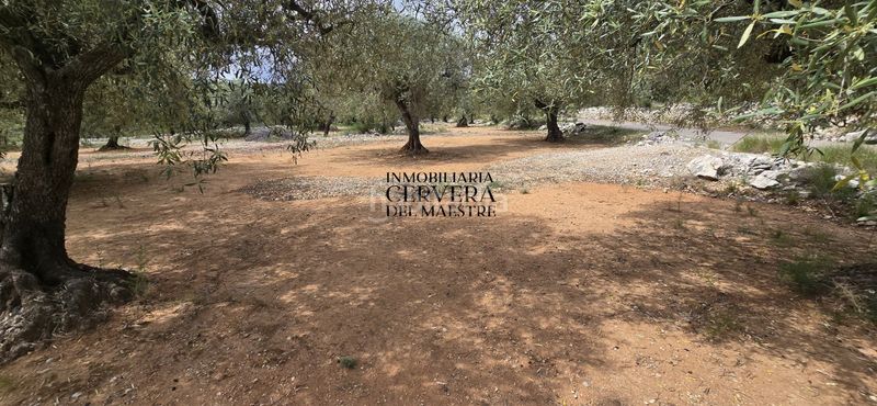 Foto 2befca9b-0201-4d0c-b62b-ee88381b39f5. Finca rústica a Cervera del Maestre