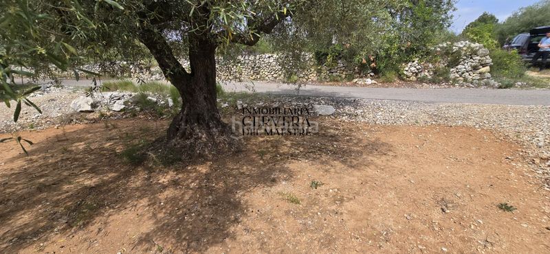 Foto 49aa875d-425e-4d7c-abad-04ffb1bf70e5. Finca rústica a Cervera del Maestre