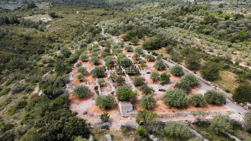 Foto 671fe11e-0f86-4aa4-a19c-0d0661d8f35e. Finca rústica a Cervera del Maestre