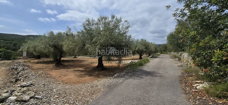 Foto a742ca13-5810-4041-a3f2-598f0de0e36c. Finca rústica a Cervera del Maestre