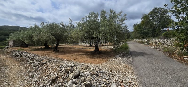 Foto ad99ad1f-5f71-4673-83e6-a6733df74ae7. Finca rústica a Cervera del Maestre