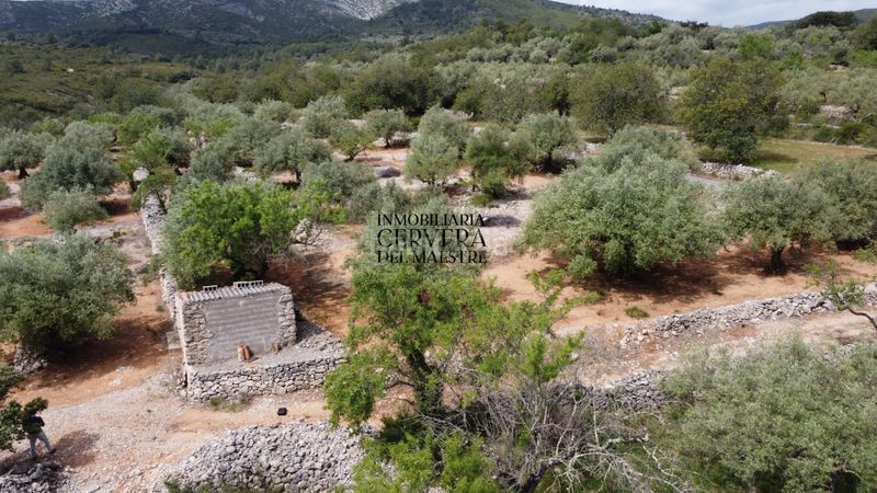 Foto aeb5a900-6ded-4174-ab45-908d21c52621. Finca rústica a Cervera del Maestre