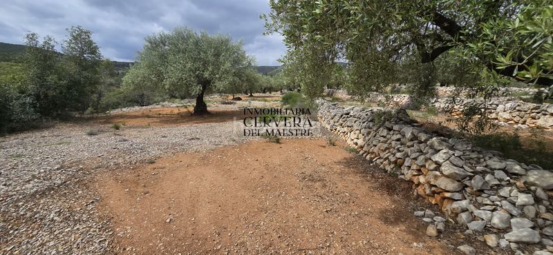 Foto b2de0306-7fff-49e2-b1d4-57ff4d6bb8cb. Finca rústica a Cervera del Maestre