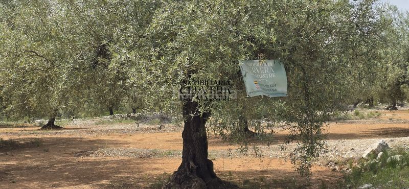 Foto b6b581dd-e42c-405e-95db-2eb2027e20e4. Finca rústica a Cervera del Maestre