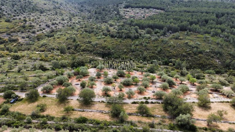 Foto d0389fc5-e781-48b6-8bbe-8bfc3815fdbb. Finca rústica a Cervera del Maestre