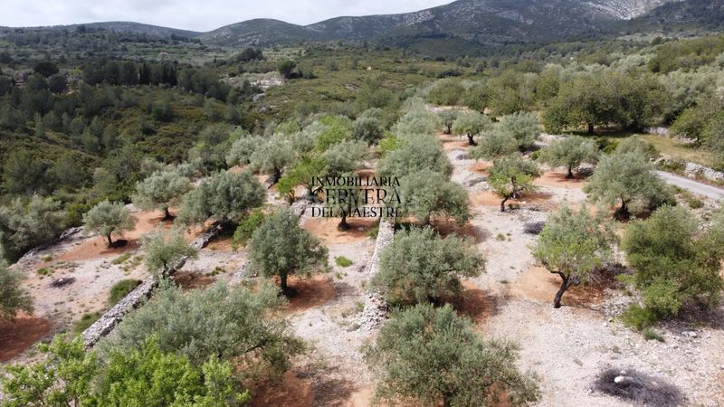 Foto d496c335-e75f-4d3c-9a27-a1b26a55f038. Finca rústica a Cervera del Maestre