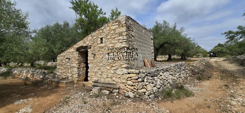 Foto d63d9c06-d339-4d43-b209-471d24eae754. Finca rústica a Cervera del Maestre
